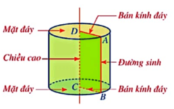 Hình trụ là gì lớp 9 (chi tiết nhất) 