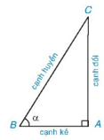 Sin của góc nhọn là gì lớp 9 (chi tiết nhất) 
