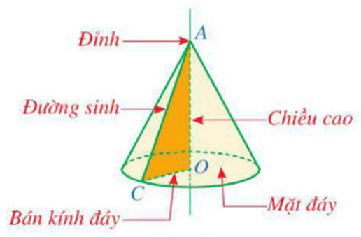 Cách nhận biết hình nón lớp 9 (chi tiết nhất)