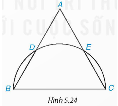 Hình viên phân là gì lớp 9 (chi tiết nhất)