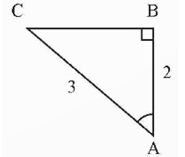 Tỉ số lượng giác của góc nhọn là gì lớp 9 (chi tiết nhất)