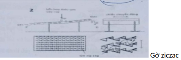 200+ Trắc nghiệm Cây lương thực đại cương (có đáp án)