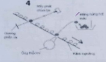 200+ Trắc nghiệm Cây lương thực đại cương (có đáp án)