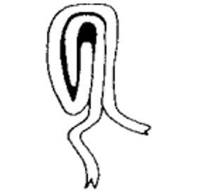  Trắc nghiệm Công nghệ đồ hộp thực phẩm