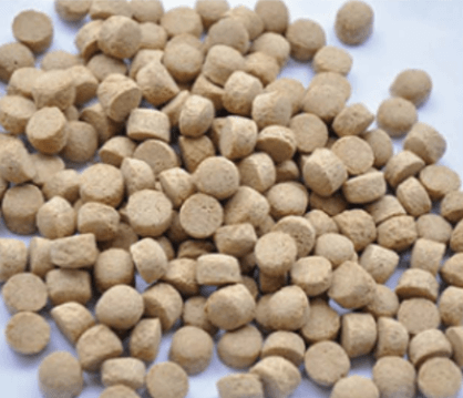 200+ Trắc nghiệm Dinh dưỡng và thức ăn thủy sản (có đáp án)