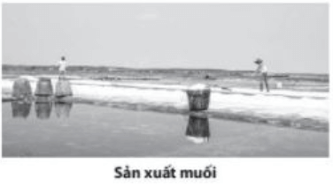 200+ Trắc nghiệm Kĩ thuật tách và làm sạch chất (có đáp án)