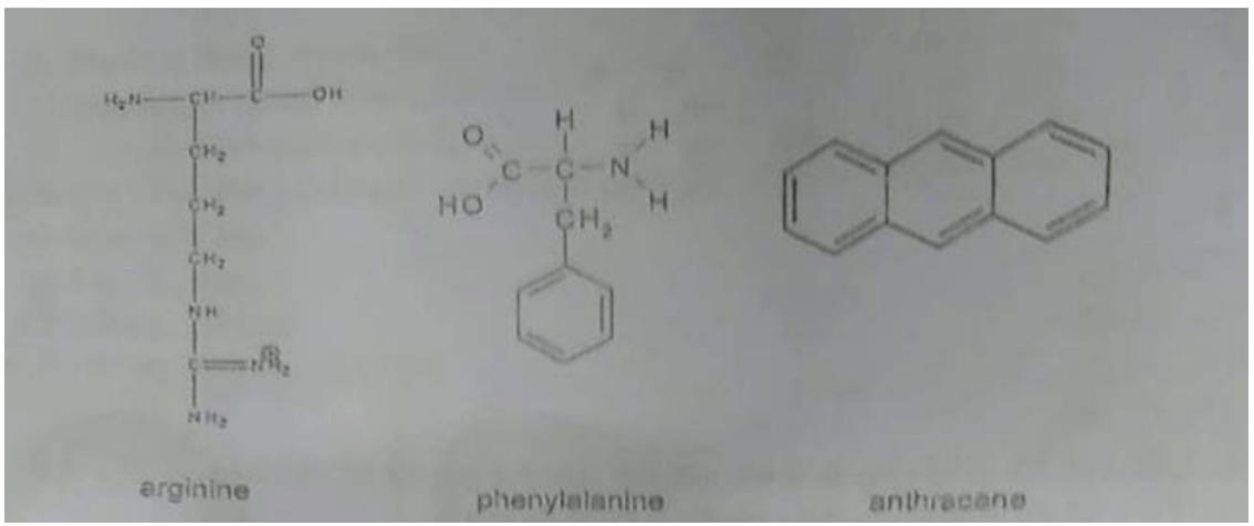  Trắc nghiệm Phân tích công cụ