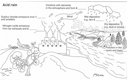 Giải mã 8 dạng bài IELTS Listening thường gặp nhất