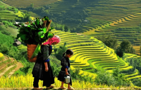 Cảm nhận về hình tượng thiên nhiên và con người Việt Bắc