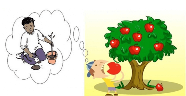 8+ Đoạn văn nghị luận xã hội về ăn quả nhớ kẻ trồng cây (siêu hay)