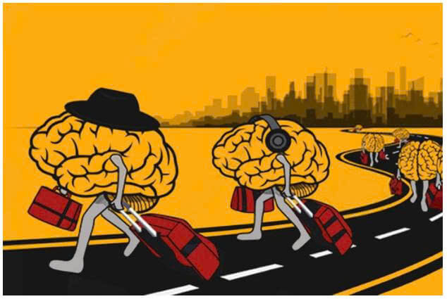 9+ Đoạn văn nghị luận xã hội về hiện tượng chảy máu chất xám (siêu hay) (ảnh 1)