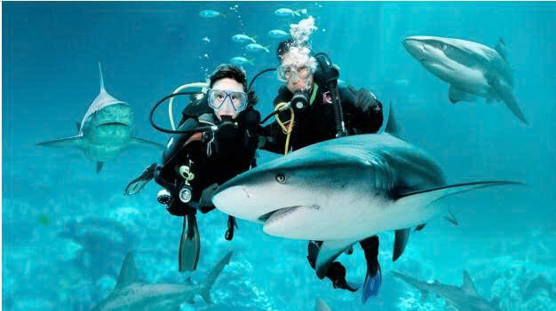 10+ Đoạn văn nghị luận xã hội về khám phá bản thân (siêu hay) (ảnh 1)