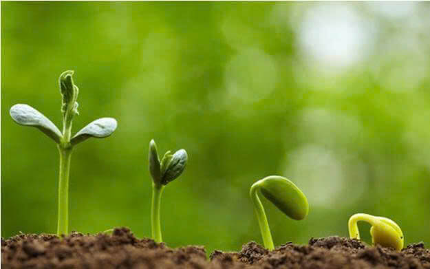 10+ Đoạn văn nghị luận xã hội về khát vọng sống (siêu hay) (ảnh 1)