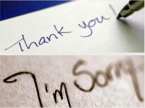 10+ Đoạn văn nghị luận xã hội về lời cảm ơn và xin lỗi (siêu hay) (ảnh 1)