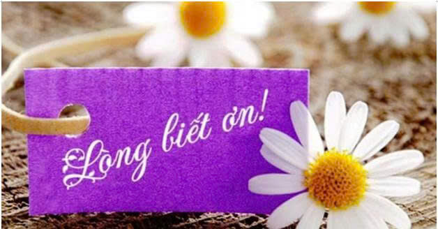 10+ Đoạn văn nghị luận xã hội về lòng biết ơn (siêu hay) (ảnh 1)