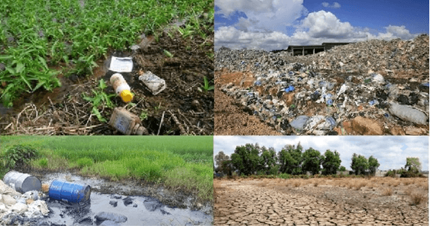 Đoạn văn nghị luận xã hội về ô nhiễm môi trường đất