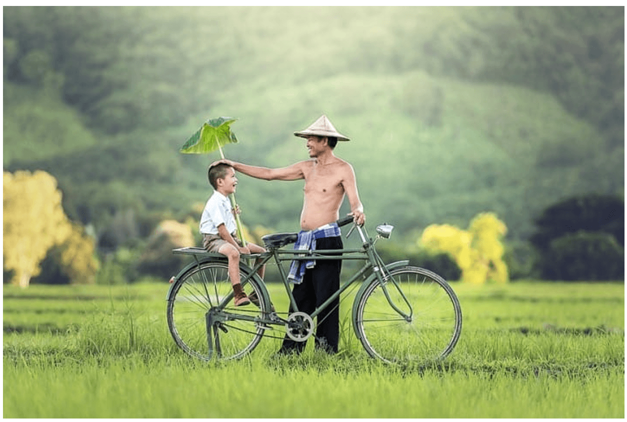 Đoạn văn nghị luận xã hội về ý nghĩa cuộc sống