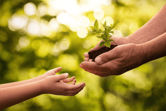 10+ Đoạn văn nghị luận xã hội về cho và nhận (siêu hay)