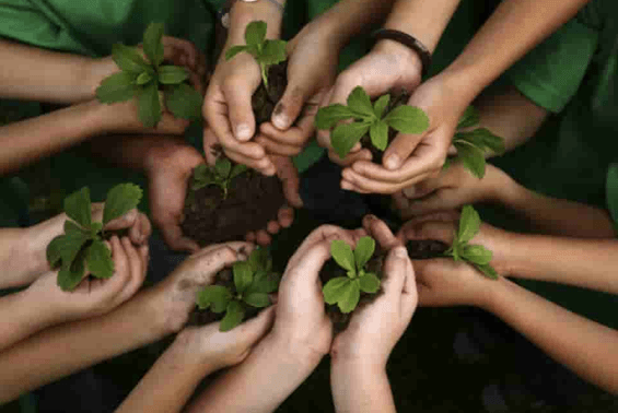 10+ Nghị luận xã hội sự cống hiến (siêu hay)