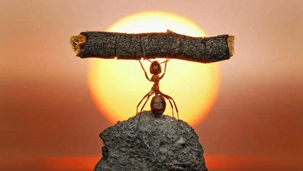 10+ Đoạn văn nghị luận xã hội đừng sống theo điều ta ước muốn, hãy sống theo điều ta có thể (siêu hay)