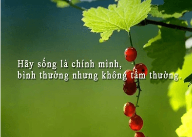 10+ Nghị luận xã hội sống là chính mình (siêu hay)