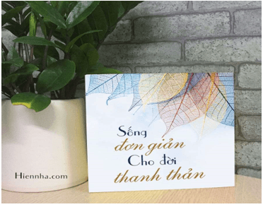 10+ Nghị luận xã hội sống thanh thản (siêu hay)