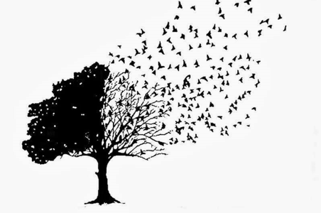 10+ Nghị luận xã hội 200 chữ về sự mất mát trong đời người (siêu hay)