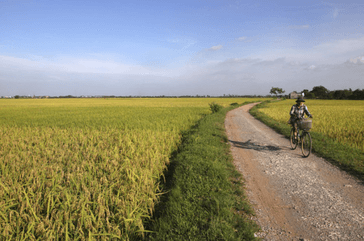 Văn mẫu 5 | Tập làm văn lớp 5