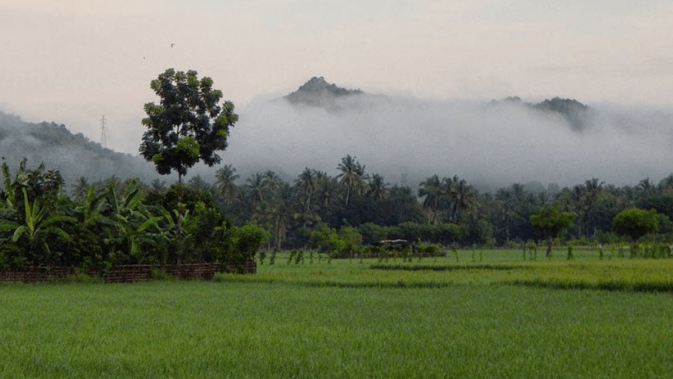 Văn mẫu 5 | Tập làm văn lớp 5