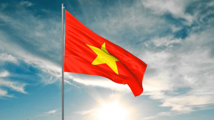 Phân tích, cảm nhận tác phẩm Những ngày đầu của nước Việt Nam mới hay nhất