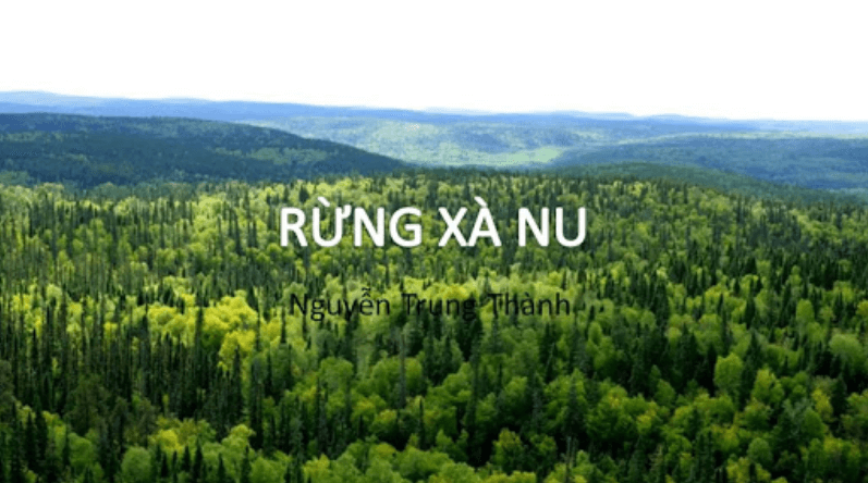 Tác phẩm Rừng xà nu của Nguyễn Trung Thành