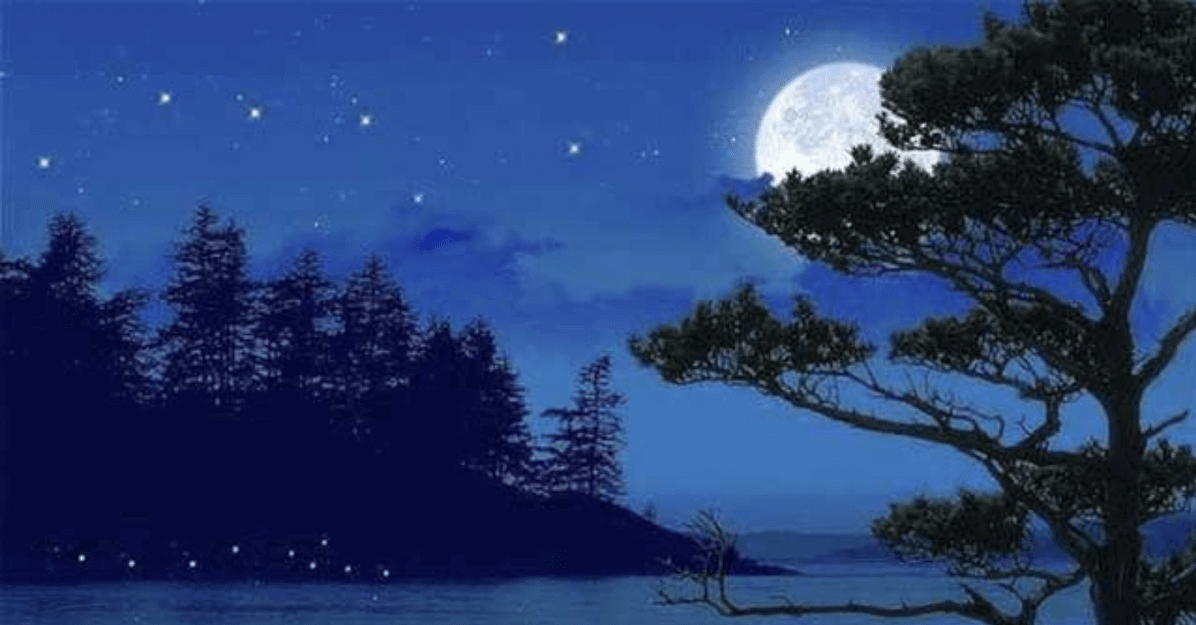 Đêm trăng đẹp: “Khi tối đến, bầu trời được chiếu sáng bởi ánh trăng đầy trăng trở nên rực rỡ. Sự đẹp đến nghẹt thở của đêm trăng làm bạn muốn dừng lại và ngắm nhìn cảnh tượng đó mãi mãi. Xem hình ảnh của Đêm trăng đẹp để cảm nhận được sự tuyệt vời của khoảnh khắc ấy.”