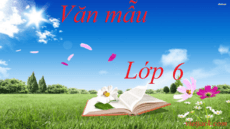 van-mau-lop-6-logo