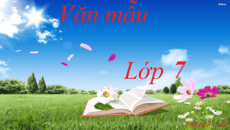van-mau-lop-7-logo