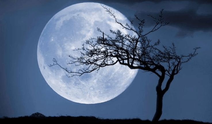 Dàn ý Cảm nhận bài thơ Ngắm trăng của Hồ Chí Minh