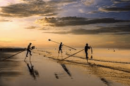 20+ Đoạn văn tả cảnh biển lớp 4 (điểm cao)