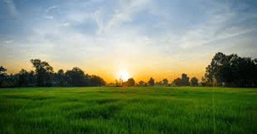 15+ Đoạn văn tả cảnh bình minh lớp 3 (điểm cao)