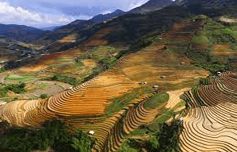 15+ Đoạn văn tả cảnh đẹp đất nước lớp 3 (điểm cao)