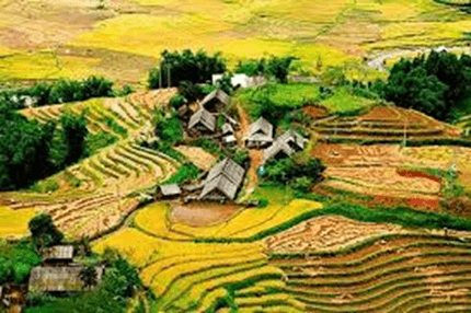 20+ Đoạn văn tả cảnh đẹp quê hương em lớp 4 (điểm cao)