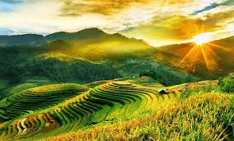 15+ Đoạn văn tả cảnh mùa hè lớp 3 (điểm cao)