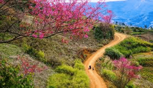 15+ Đoạn văn tả cảnh mùa xuân lớp 3 (điểm cao)