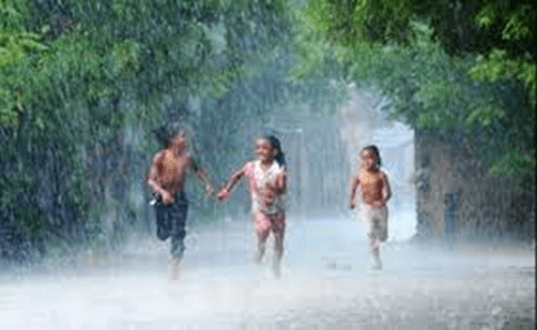 15+ Đoạn văn tả cơn mưa lớp 3 (điểm cao)
