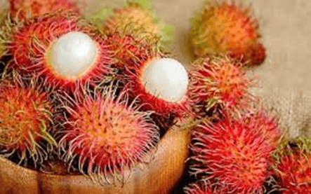 20+ Đoạn văn tả quả chôm chôm lớp 4 (điểm cao)