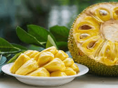 20 Đoạn văn tả quả mít lớp 2 (điểm cao)