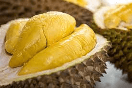20+ Đoạn văn tả quả sầu riêng lớp 4 (điểm cao)