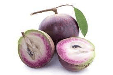 15+ Đoạn văn tả quả vú sữa lớp 3 (điểm cao)