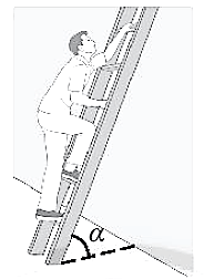 Bài tập ôn tập Vật Lí 10 Cánh diều Chủ đề 3 (có đúng sai, trả lời ngắn)