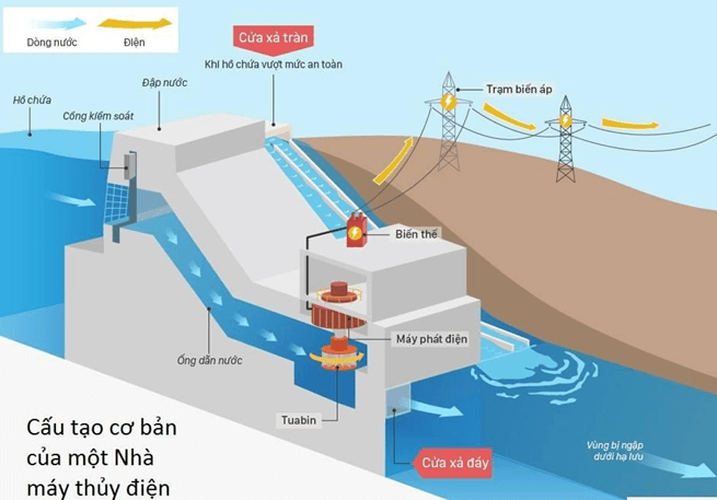 Bài tập ôn tập Vật Lí 10 Cánh diều Chủ đề 3 (có đúng sai, trả lời ngắn)