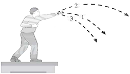 Bài tập ôn tập Vật Lí 10 Cánh diều Chủ đề 3 (có đúng sai, trả lời ngắn)