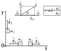 Bài tập ôn tập Vật Lí 10 Cánh diều Chủ đề 4 (có đúng sai, trả lời ngắn)